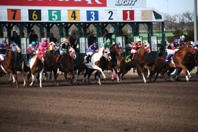 Riyadh horse racing odds Archives - Saudi Arabia betting